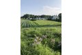 Additional image 28 of 1571 Amos Bennett St, Grayslake, IL, 60030