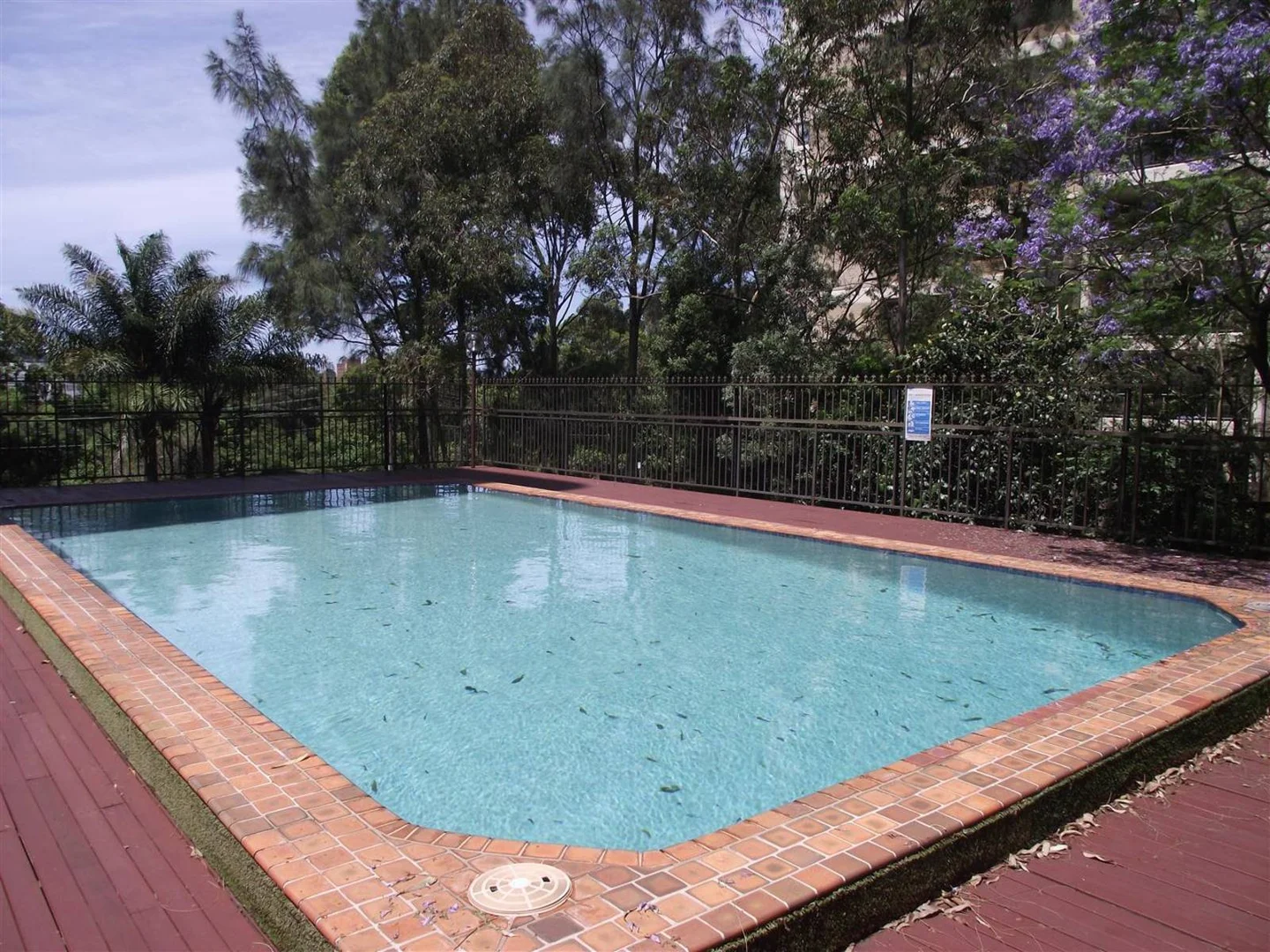 Additional image 7 of 5E/3 Jersey Road, Artarmon NSW 2064