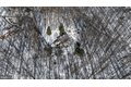 Additional image 136 of 901 Chestnut Ridge Dr, Lutherville Timonium, MD, 21093