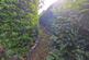 Additional image 23 of Borthwen, Cader Road, Dolgellau