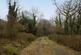 Additional image 15 of Coed Sion Wyn (about 5 and a half acres), Llanfihangel-y-Traethau, Harlech, Gwynedd LL46