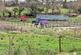 Additional image 34 of Heol Yr Ysgol, Cefneithin, Llanelli