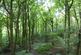 Additional image 3 of Elland Park Wood, Elland HX5