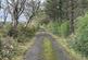 Additional image 74 of Trefenter, Aberystwyth, SY23