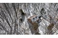 Additional image 129 of 901 Chestnut Ridge Dr, Lutherville Timonium, MD, 21093