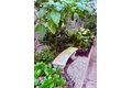 Additional image 69 of 1880 Jackson St Apt 601, San Francisco, CA, 94109