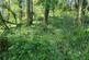 Additional image 49 of Cookbury Court, Cookbury, Holsworthy, Devon, EX22