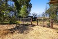 Additional image 48 of 3880 Spring Mountain Rd, Saint Helena, CA, 94574