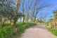 Additional image 16 of La Rue De La Pointe, St Ouen