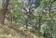 Additional image 4 of Birks Wood , Wainstalls  HX2