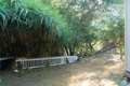 Additional image 34 of 10179 Canyon Dr, Escondido, CA, 92026