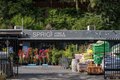 Additional image 50 of 159 Terrace Ave, San Rafael, CA, 94901