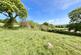 Additional image 39 of Llechwedd, Conwy