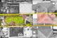 Additional image 26 of Edward Road, Oldbury, West Midlands, B68