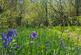 Additional image 46 of Cookbury Court, Cookbury, Holsworthy, Devon, EX22