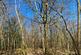Additional image 6 of Hurdle Wood (4.75 acres), Beckley, near Rye, East Sussex TN31