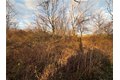 Additional image 18 of Benson, Victor, NY, 14564