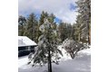 Additional image 59 of 54370 Pine Crst, Idyllwild, CA, 92549