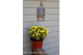 Additional image 21 of 92 Wichtree Rd, Woodstock, NY, 12498