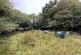 Additional image 11 of Brandis Corner, Holsworthy