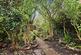 Additional image 14 of Castle Lane, Bewdley