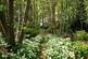 Additional image 49 of Edwin Road, Wigmore ME8