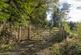 Additional image 22 of Coed Sion Wyn (about 5 and a half acres), Llanfihangel-y-Traethau, Harlech, Gwynedd LL46