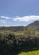 Additional image 15 of Staffin IV51