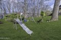 Additional image 35 of 22 Ellison Ave, Edison, NJ, 08820