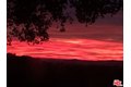 Additional image 29 of 8808 Chatlake Dr, West Hills, CA, 91304