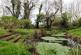 Additional image 20 of La Rue Des Friquettes, St. Saviour, Jersey, JE2