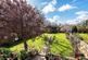 Additional image 39 of Northey Avenue, South Cheam, SM2