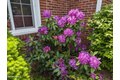 Additional image 44 of 135 Allengate Ave, Pittsfield, MA, 01201