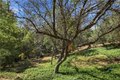 Additional image 58 of 2260 El Capitan Dr, Riverside, CA, 92506