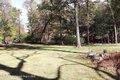Additional image 19 of 92 Wichtree Rd, Woodstock, NY, 12498