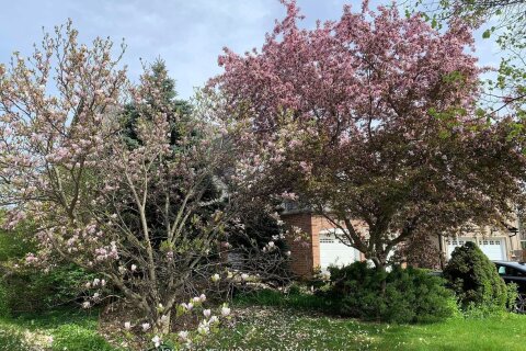 Additional image 8 of 15 Marylebone Crescent, Richmond Hill, ON, L4E 2L5
