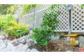 Additional image 53 of 425 Fern Dell Pl, Glendora, CA, 91741