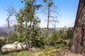 Additional image 42 of 3880 Spring Mountain Rd, Saint Helena, CA, 94574