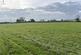 Gravel Hill, North Somerset BS40