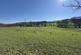 Additional image 64 of Llangwyryfon, Aberystwyth, SY23