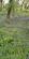 Additional image 43 of Cookbury Court, Cookbury, Holsworthy, Devon, EX22