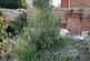 Additional image 9 of Grange Road, Eastbourne, BN21 4ST