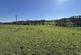 Additional image 4 of Llangwyryfon, Aberystwyth, SY23