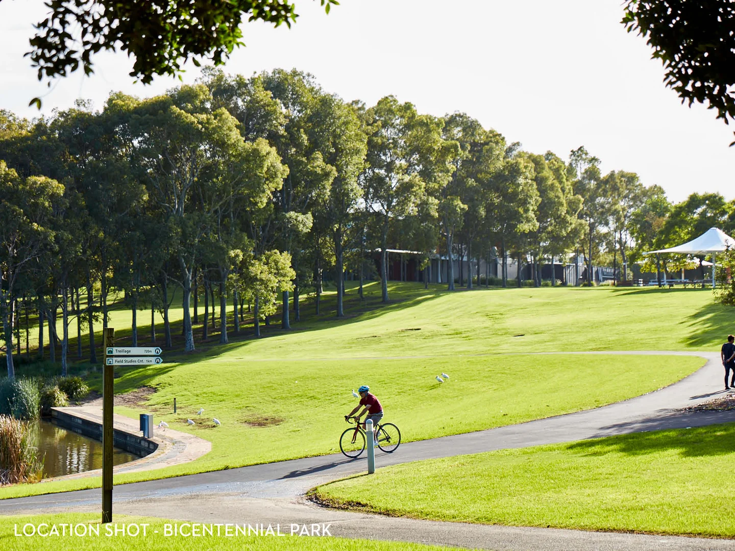 Additional image 18 of 2B/12 Uhrig Road, Lidcombe NSW 2141