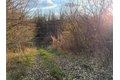 Additional image 13 of Benson, Victor, NY, 14564