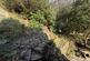 Additional image 14 of Old Lees Road, Hebden Bridge HX7