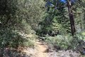Additional image 65 of 2041 Symonds Dr, Pine Mountain Club, CA, 93222