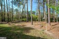 Additional image 53 of 9206 Martingham Dr, Saint Michaels, MD, 21663