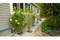 Additional image 32 of 204 Barcelona Ave, Novato, CA, 94949