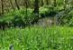 Additional image 47 of Cookbury Court, Cookbury, Holsworthy, Devon, EX22